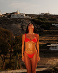 Bikini Tiarè