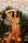 Tropic